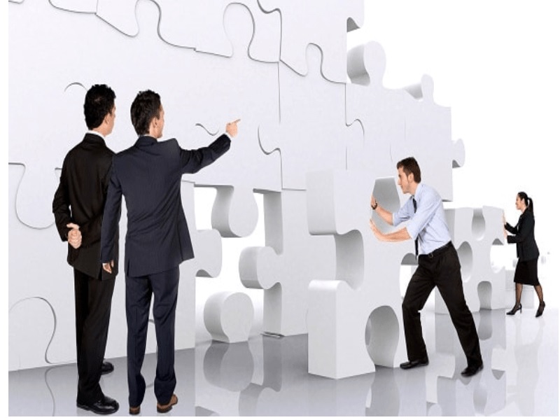 Thành viên công ty trách nhiệm hữu hạn
