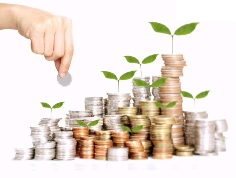  Thực trạng vốn điều lệ công ty trách nhiệm hữu hạn
