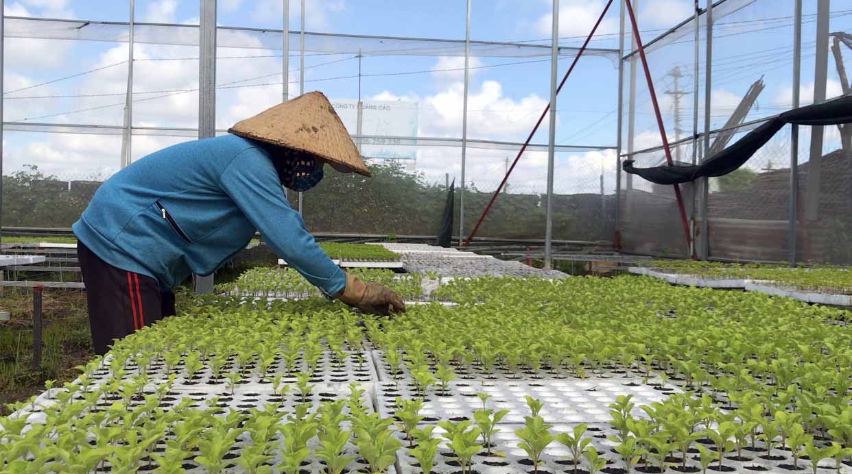 Giải đáp một số câu hỏi về thay đổi tên hợp tác xã