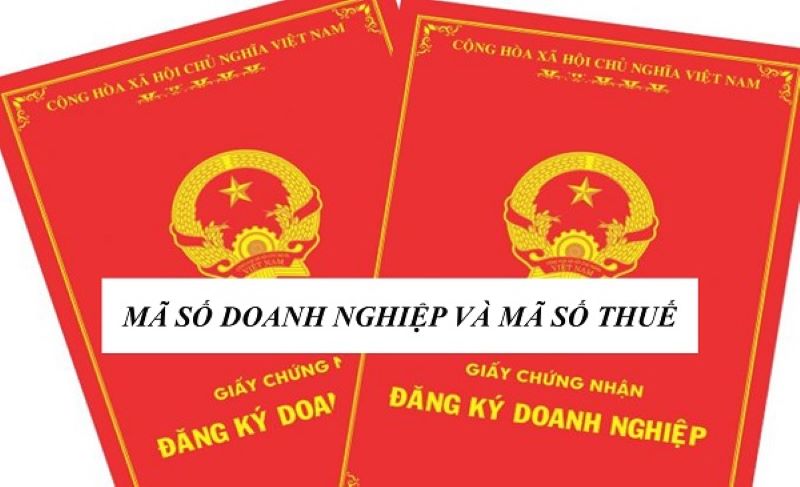 Thế nào là mã số doanh nghiệp?Mã số doanh nghiệp có phải là mã số thuế không?