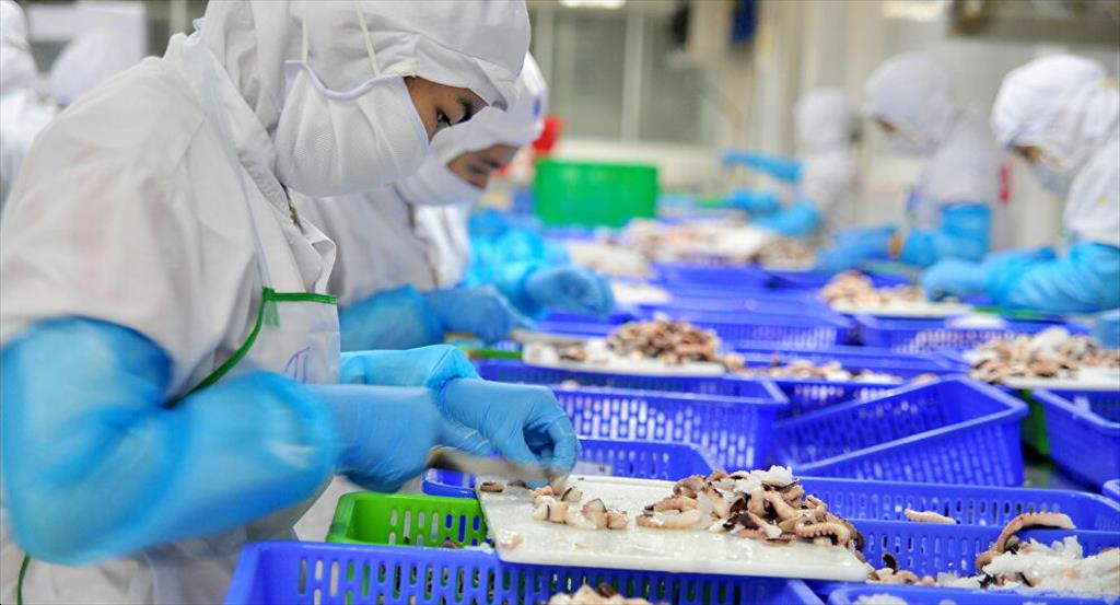 Thực trạng ngành kinh doanh thuỷ hải sản tại Bến Tre
