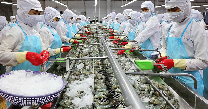 Các quy định pháp luật liên quan đến công ty cổ phần chế biến và bảo quản thủy sản đông lạnh