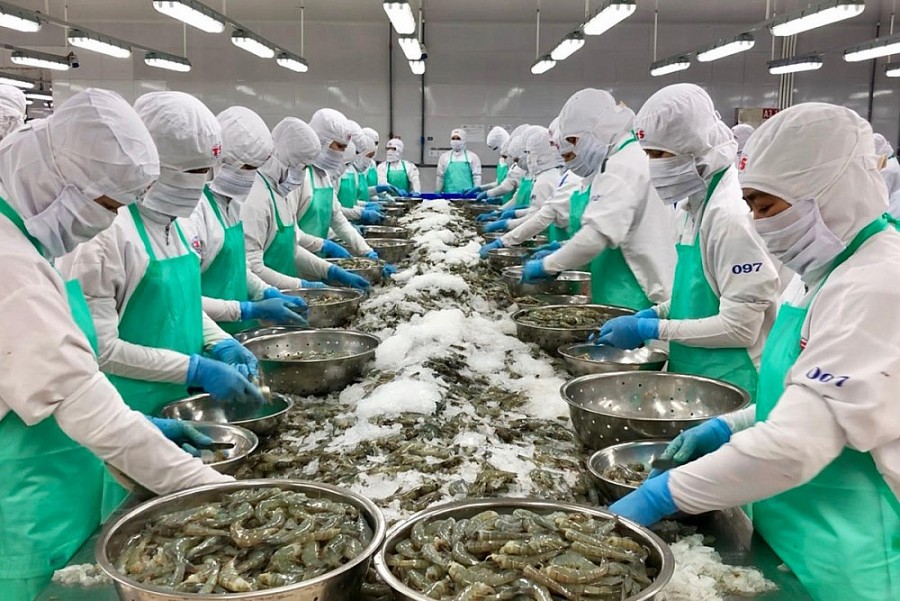 Thủ tục xuất khẩu thủy sản