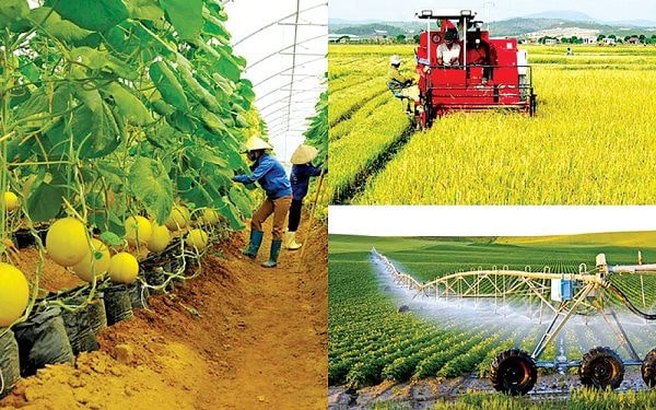 Tìm hiểu về doanh nghiệp nông nghiệp
