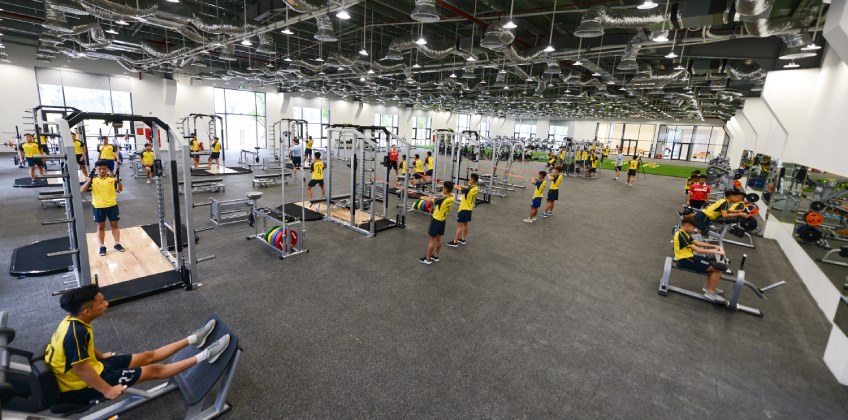 Huấn luyện viên chuyên nghiệp của doanh nghiệp kinh doanh hoạt động thể thao có bằng cao đẳng được không?