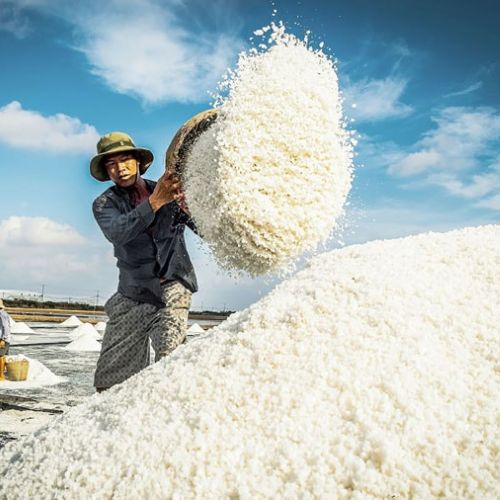 Quy định pháp lý về ngành nghề làm muối tại Việt Nam