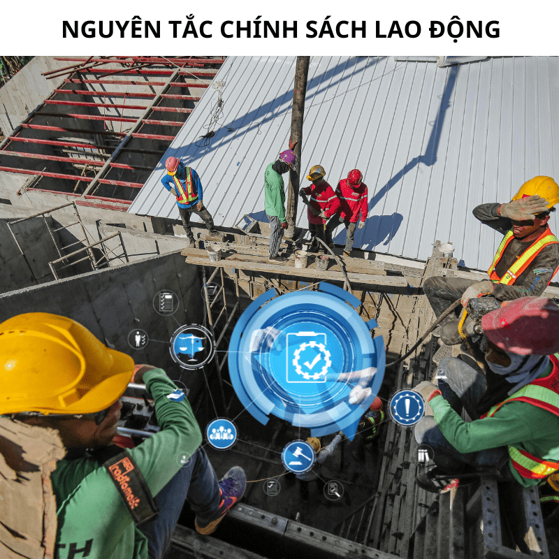 Tìm hiểu nguyên tắc chính sách lao động với NPLaw