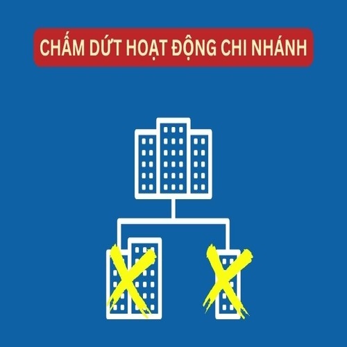Tư vấn thủ tục pháp lý về chấm dứt chi nhánh tại quốc tế