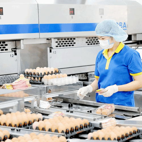 Nhà máy chế biến thực phẩm cần tuân thủ những quy định pháp lý nào để bảo đảm an toàn và tránh rủi ro?