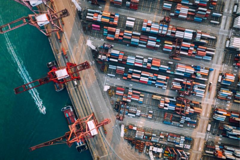How is the establishment of an Import Export Company understood and performed?