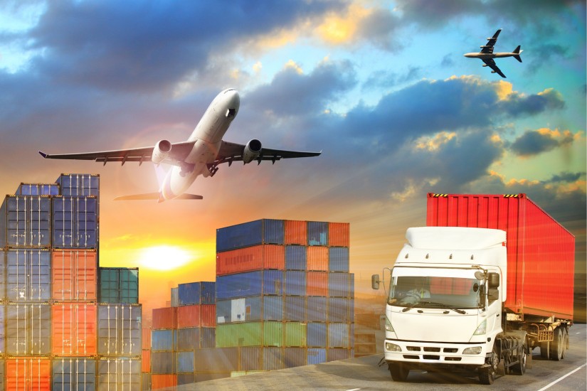 Procedures for establishing the Import Export Company