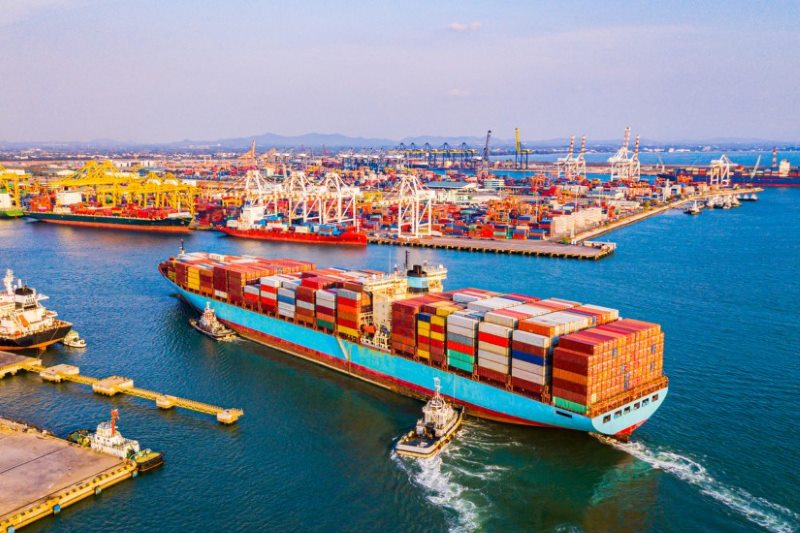 Questions arise when establishing the Import Export Company