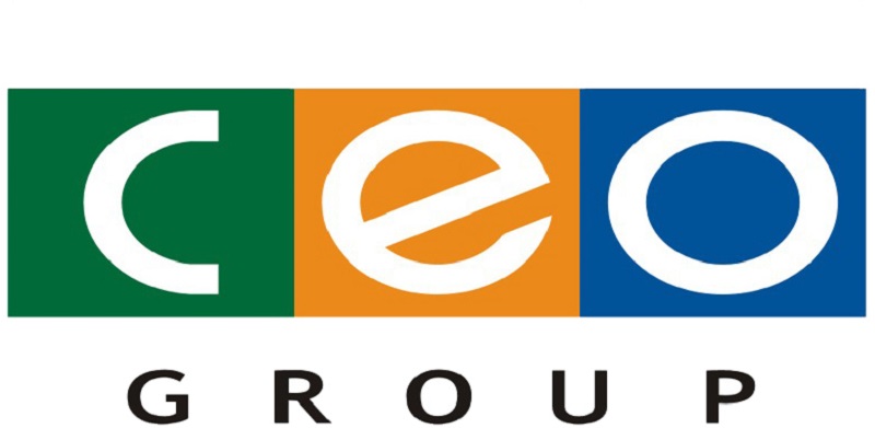 股份公司首席执行官的现行法律规定