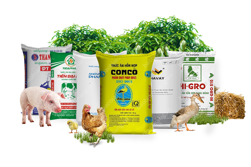 Nhập khẩu sản phẩm chăn nuôi được hiểu như thế nào?