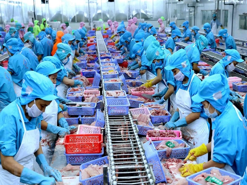 Quyền của chủ thể kinh doanh xuất khẩu thủy sản