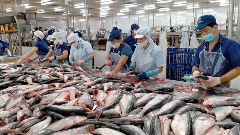 Mở cơ sở sơ chế thủy hải sản là gì?