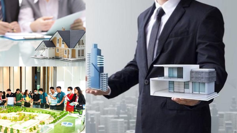 Nội dung kinh doanh dịch vụ quản lý bất động sản