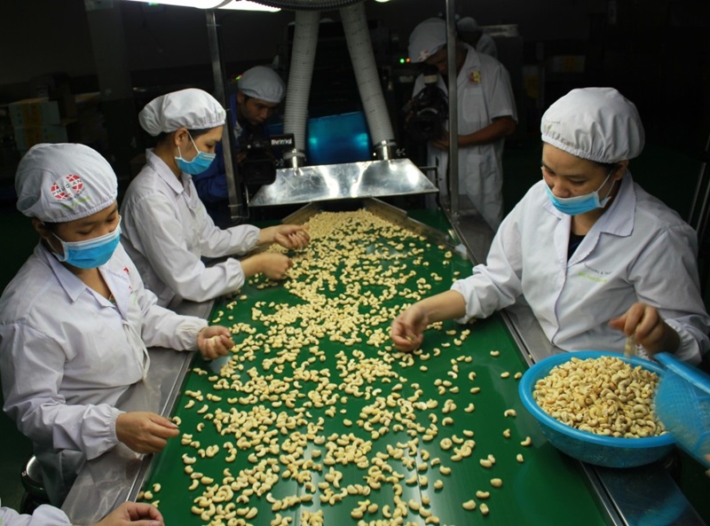 xuất khẩu hạt điều