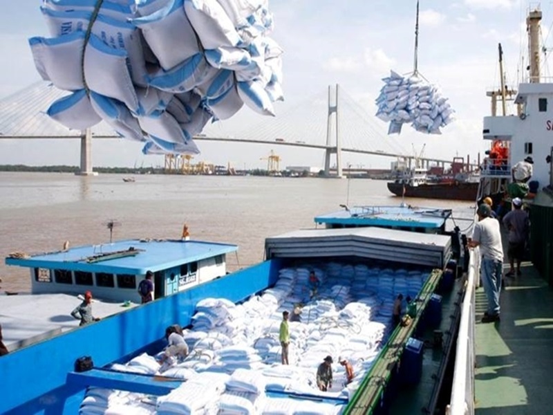Nhu cầu kinh doanh xuất khẩu gạo