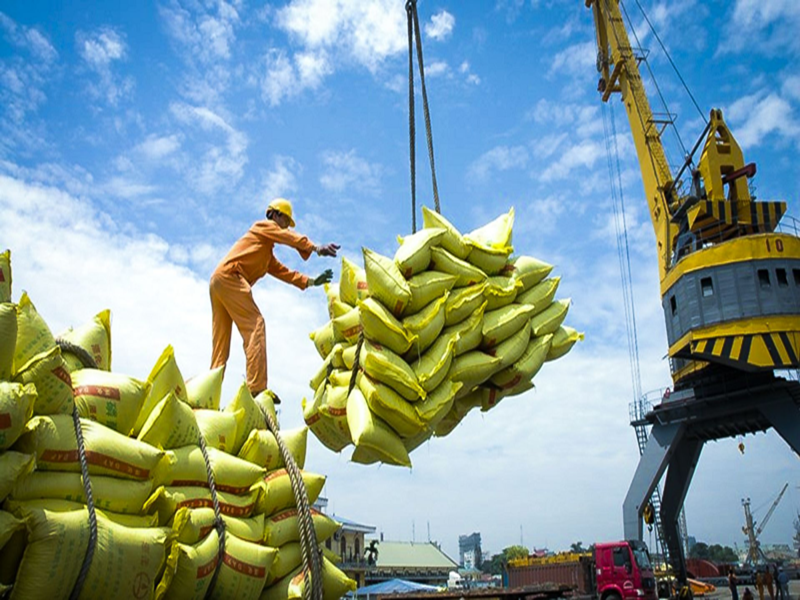 Điều kiện kinh doanh xuất khẩu gạo