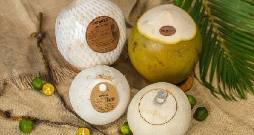 Làm thế nào để xuất khẩu dừa tươi sang nước ngoài?