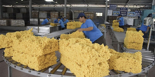 Thủ tục, hồ sơ thành lập cơ sở sản xuất cao su