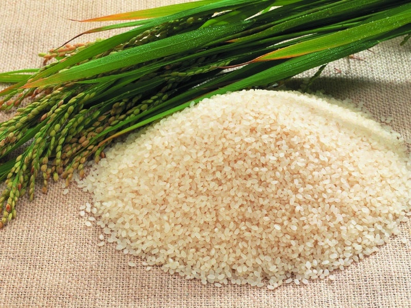 Trường hợp xảy ra tranh chấp hợp đồng mua bán gạo nội địa thì cơ quan nào giải quyết?