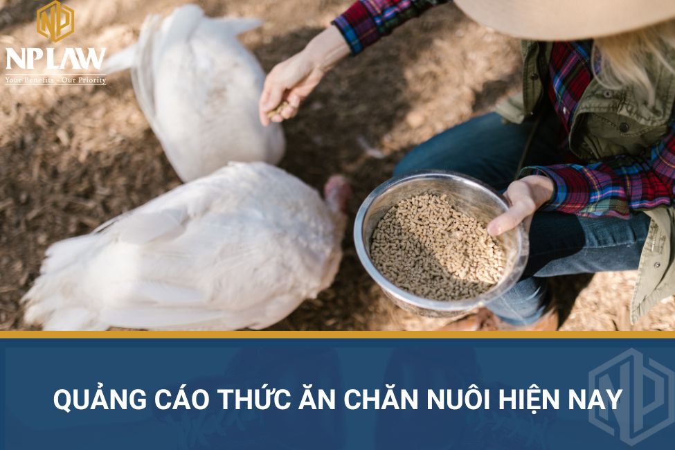 Quảng cáo thức ăn chăn nuôi hiện nay