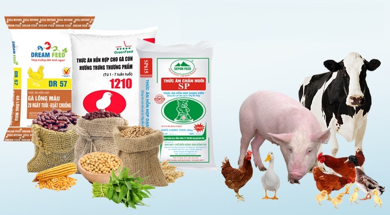 Thực trạng quảng cáo thức ăn chăn nuôi hiện nay