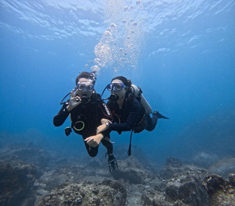 A couple of scuba divers underwater
AI-generated content may be incorrect.