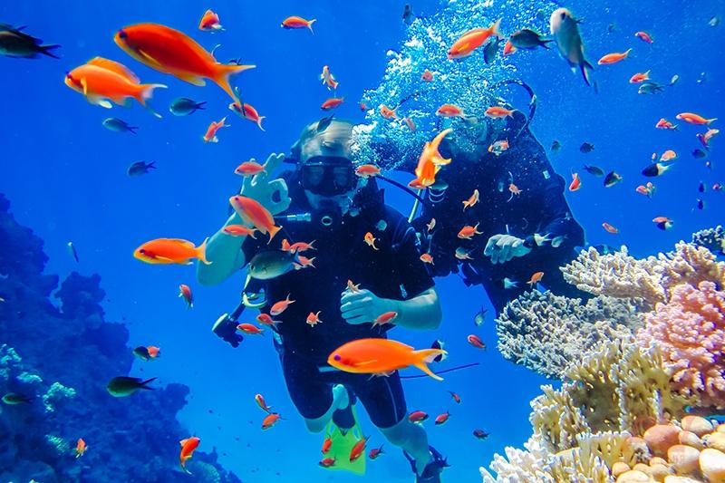 A group of people under water with fish
AI-generated content may be incorrect.