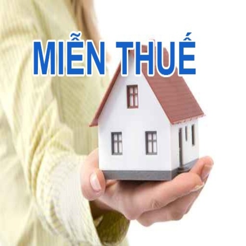 Quy định pháp luật liên quan đến miễn thuế tạm thời