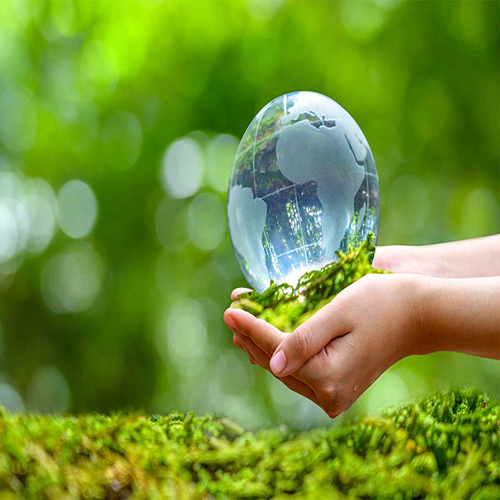 Xử lý đối với vi phạm quy định về môi trường