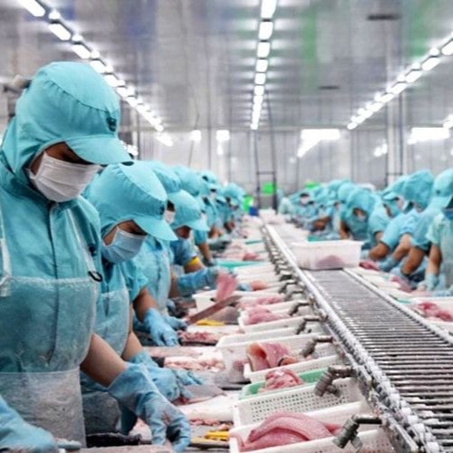 Trách nhiệm pháp lý khi thay đổi nguyên liệu sản xuất thực phẩm
