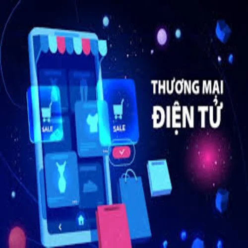 Tư vấn pháp lý cho công ty nước ngoài muốn mở rộng sang lĩnh vực thương mại điện tử