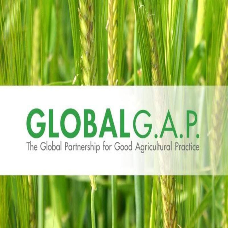 Tìm hiểu về sản xuất đạt chuẩn globalgap