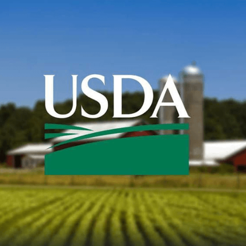 Kiểm dịch USDA đối với nông sản Việt Nam: Quy định nào cần biết để xuất khẩu thành công