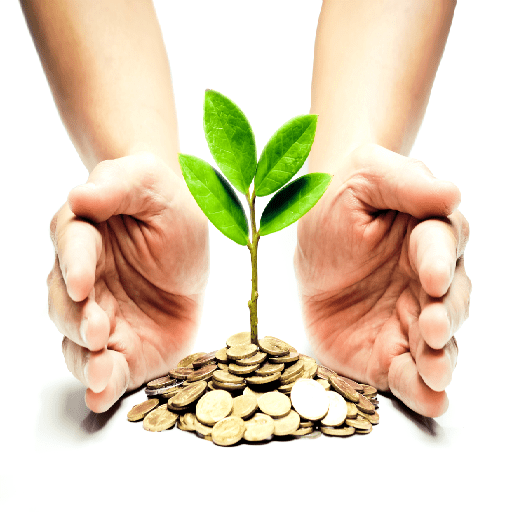Hỗ trợ đầu tư đặc biệt là gì?