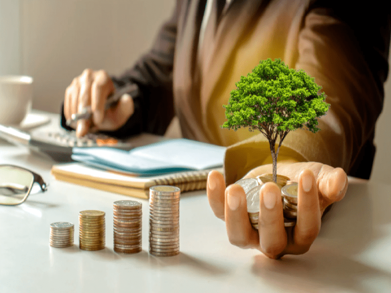 Hỗ trợ đầu tư đặc biệt được hiểu như thế nào?