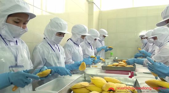 Các thắc mắc liên quan đến hộ kinh doanh chế biến và bảo quản rau quả