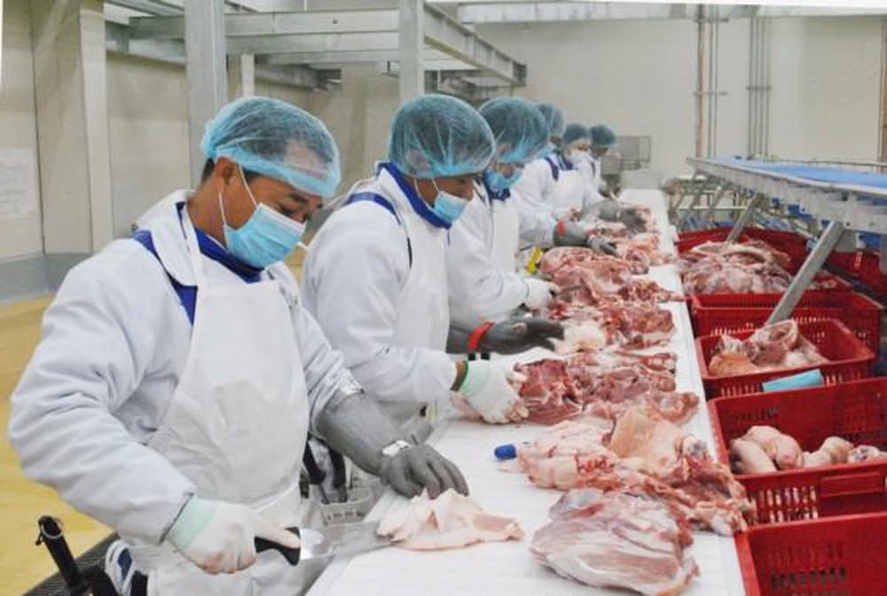  Cơ sở sơ chế thịt gia súc, gia cầm có cần phải xây dựng quy trình bảo quản thực phẩm không?