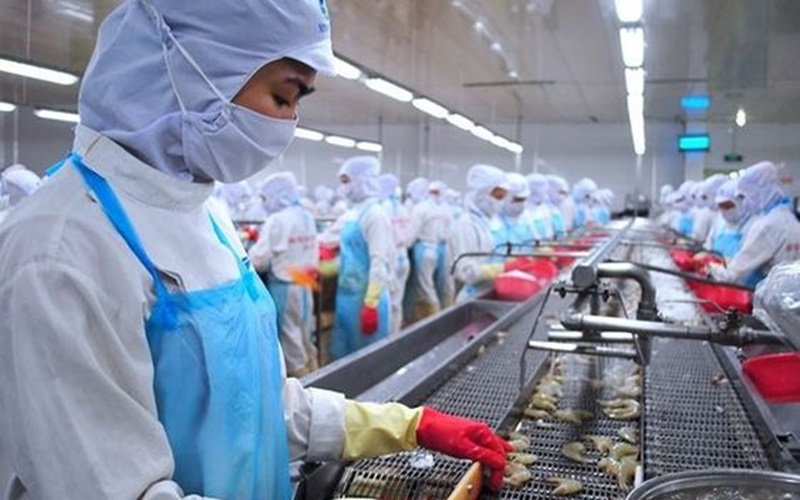 Nhu cầu mở cơ sở chế biến thủy sản tại Nha Trang