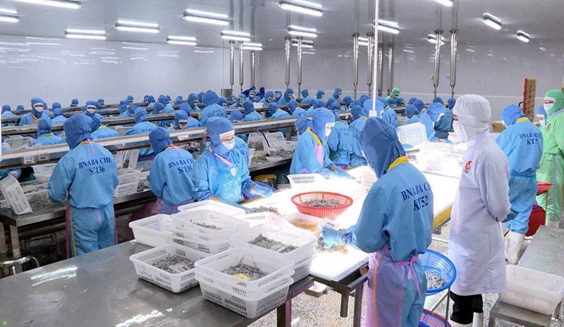 Dịch vụ tư vấn pháp lý về mở cơ sở chế biến thủy sản tại Nha Trang