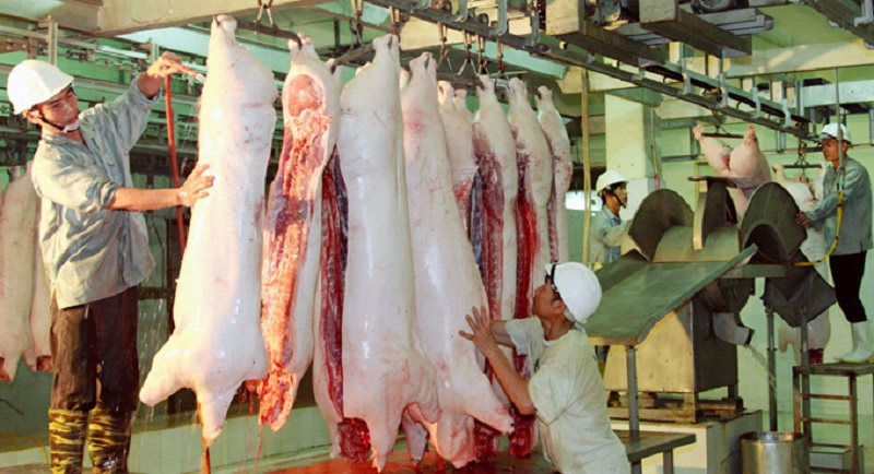 Thế nào là cơ sở giết mổ gia súc?