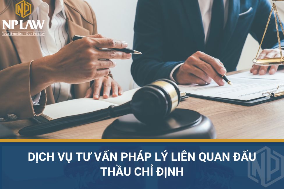 Dịch vụ tư vấn pháp lý liên quan đấu thầu chỉ định