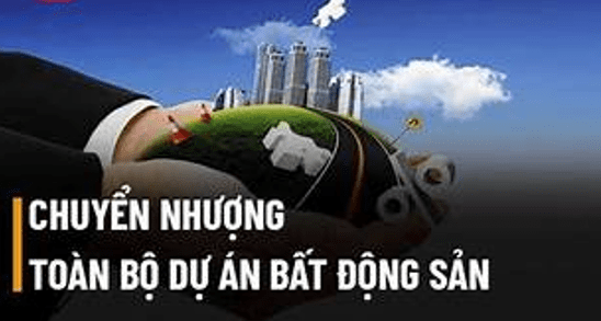 Tìm hiểu về chuyển nhượng toàn bộ dự án bất động sản