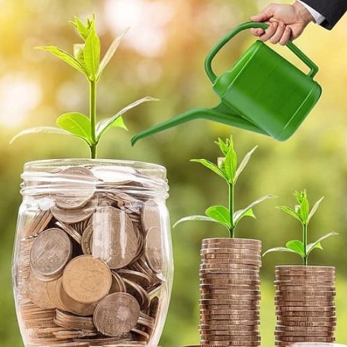 Quy định pháp luật về dự án nông nghiệp