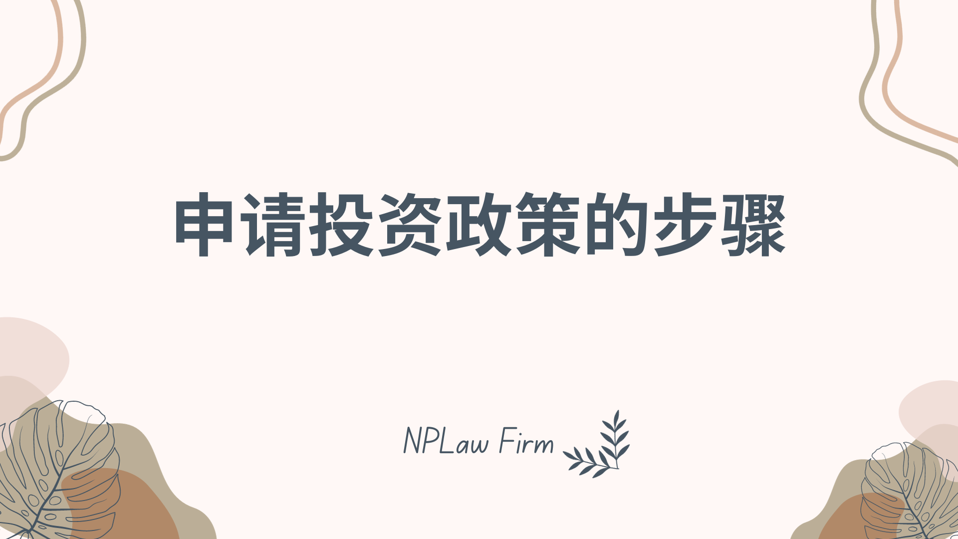 申请投资政策的手续如何?