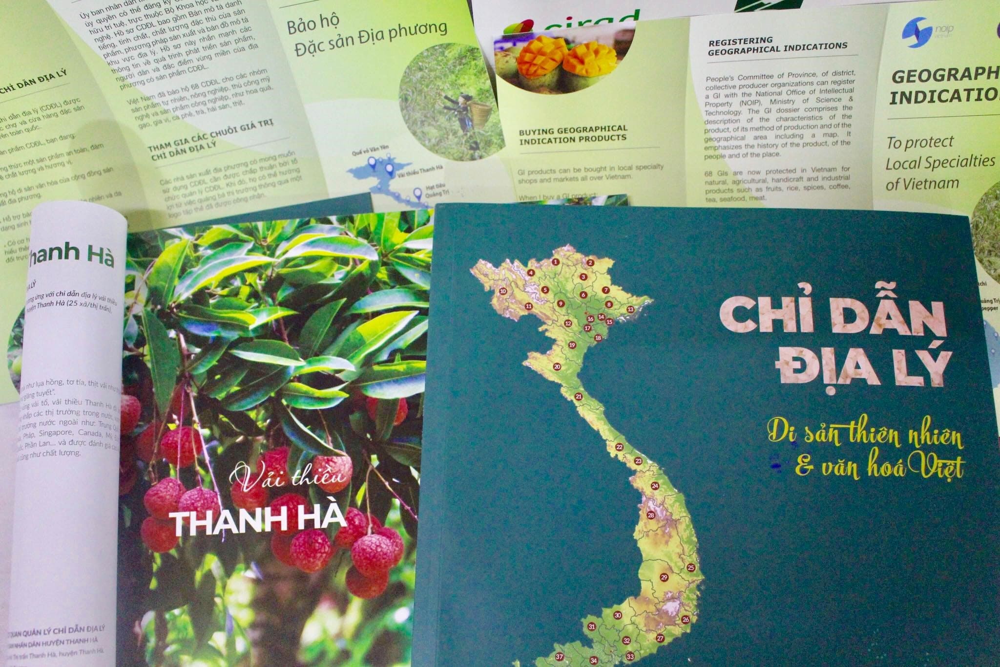 Xâm phạm quyền đối với chỉ dẫn địa lý được hiểu như thế nào?