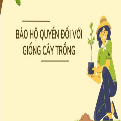 Quy định pháp luật về đăng ký bảo vệ giống cây trồng